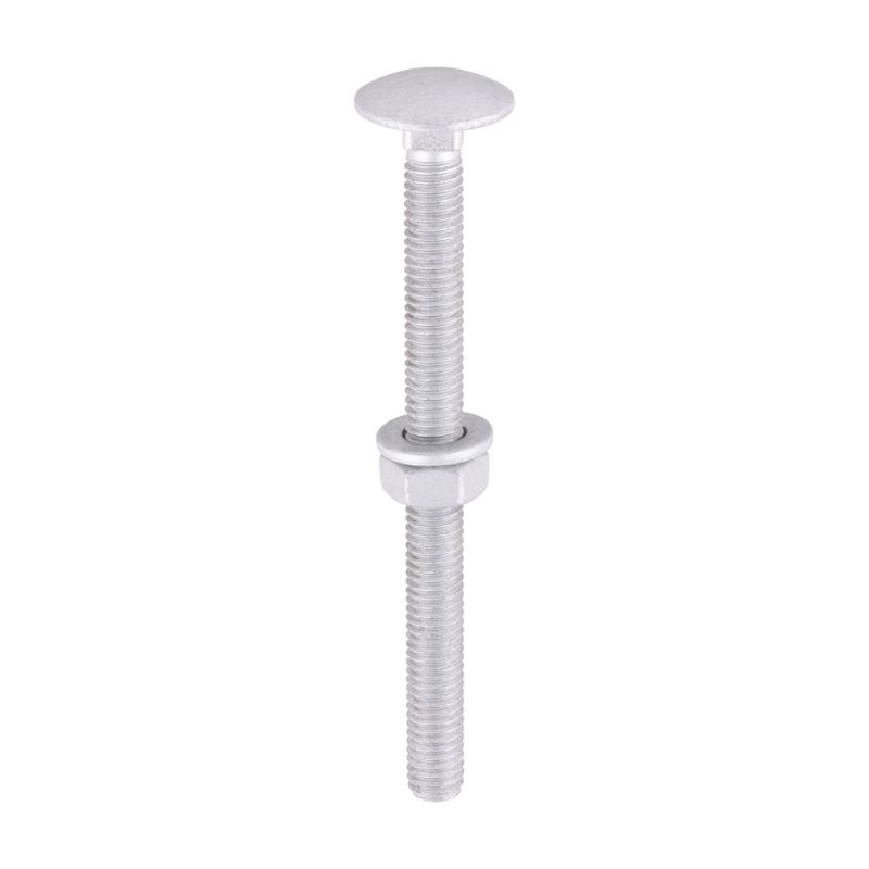 Carriage Bolt Exterior - SO