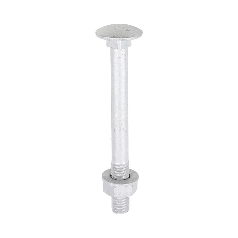 Carriage Bolt Exterior - SO