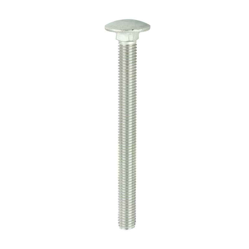 Carriage Bolt DIN 603 A2 SS