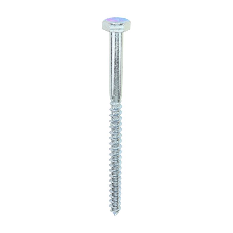 Coach Screw DIN 571 - BZP