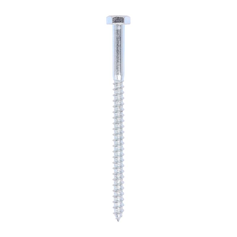 Coach Screw DIN 571 - BZP