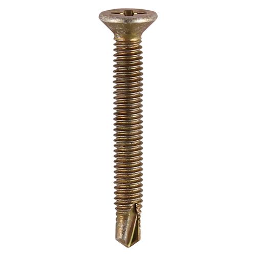 S/Drill PVC Screw CSK - ZYP
