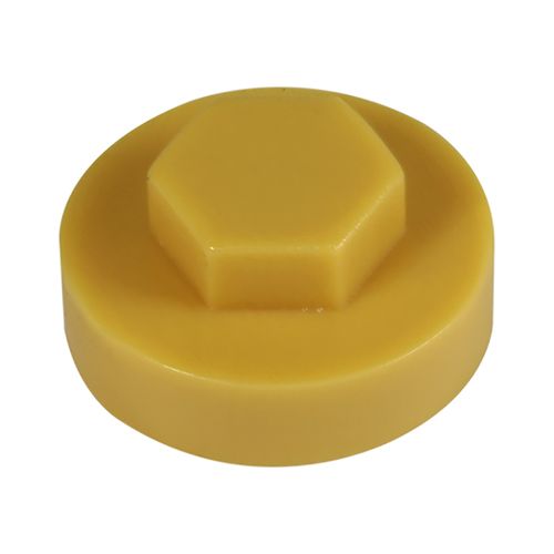 Hex Cover Cap - Bamboo
