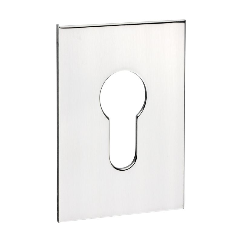 S/A Euro Escutcheon OBL Sat SS