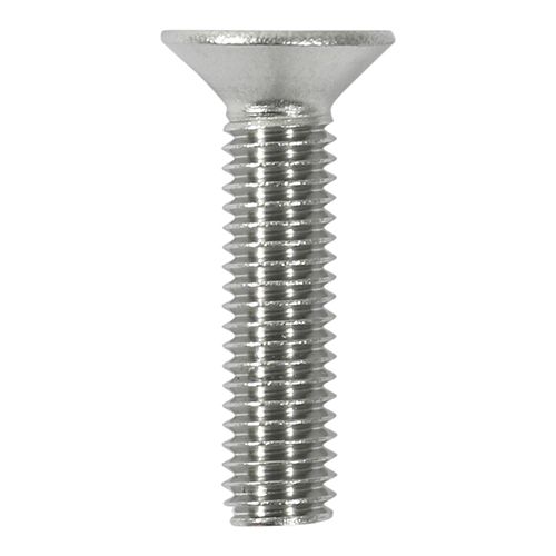 Countersunk Socket Screws A2SS