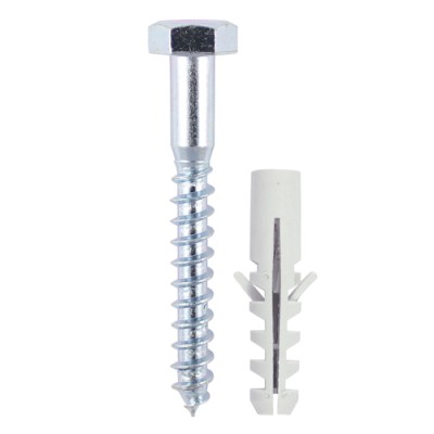 Coach Screw & Nylon Plugs
