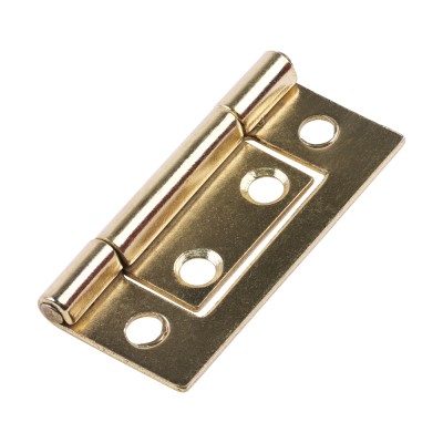 Flush Hinge EB