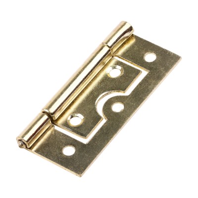 Flush Hinge EB