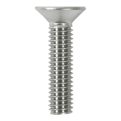 Countersunk Socket Screws A2SS