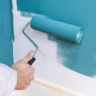 Pro Roller, Frame & Tray