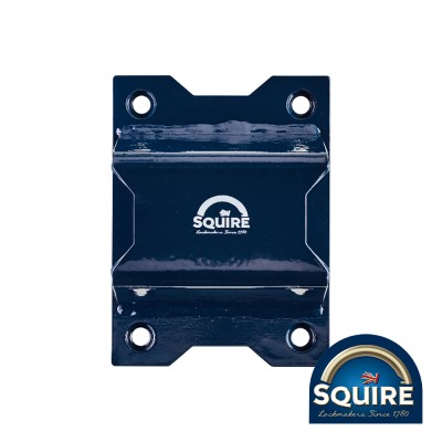 Security Bridge Wall Anchor